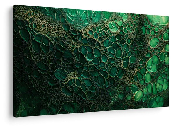 Obraz - Zelený mikroskopický záber (90x60 cm)