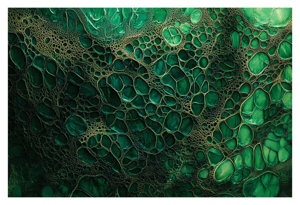 Obraz - Zelený mikroskopický záber (90x60 cm)