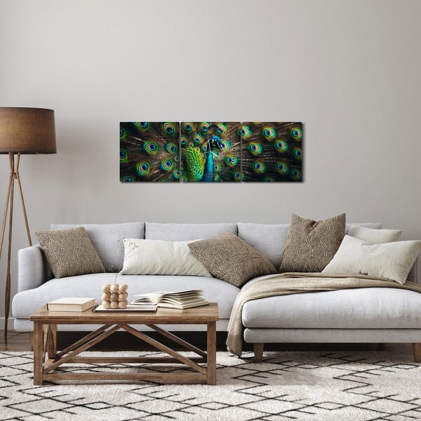 Obraz – Páv (s hodinami) (90x30 cm)