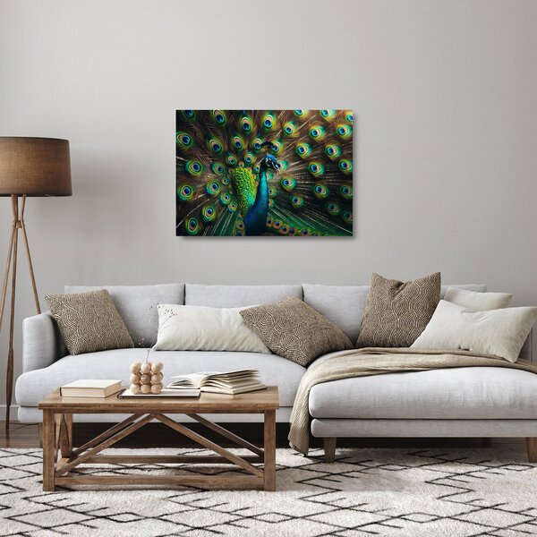 Sklenený obraz – Páv (70x50 cm)