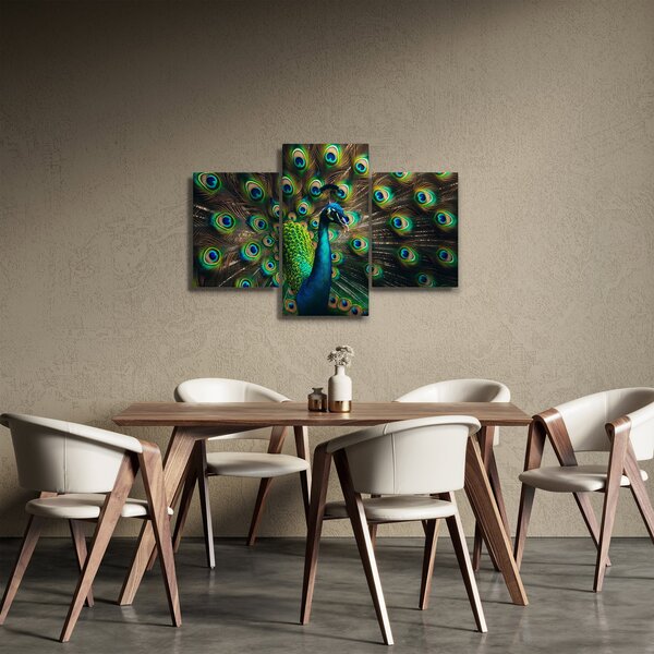 Obraz – Páv (90x60 cm)