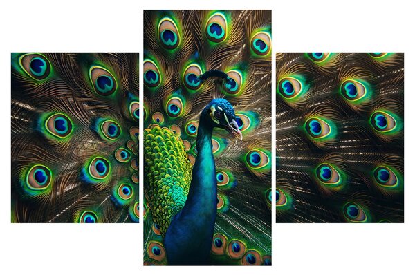Obraz – Páv (90x60 cm)
