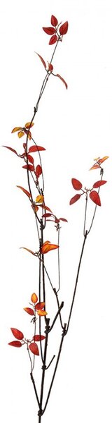 Dekorácia hnedá vetvička s červenými lístkami - 18*5*116 cm - Clayre & Eef