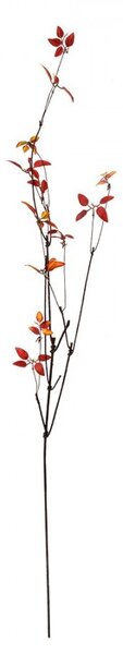 Dekorácia hnedá vetvička s červenými lístkami - 18*5*116 cm - Clayre & Eef