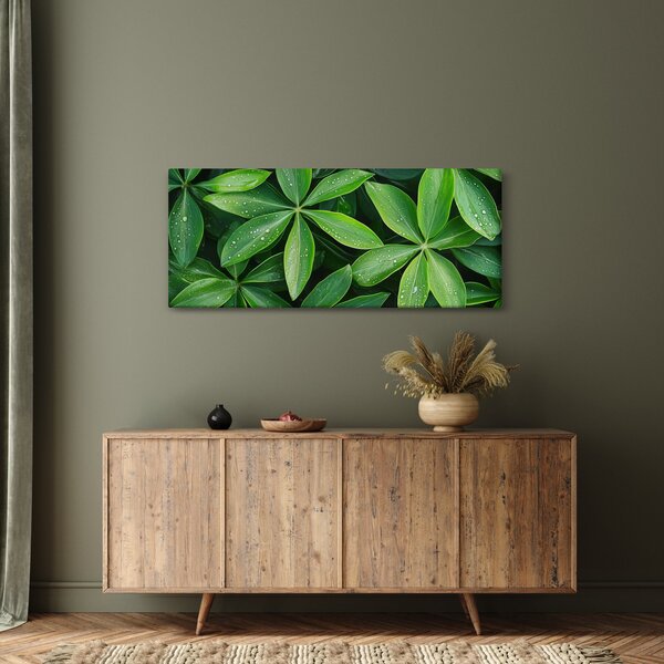 Obraz - Listy s kvapkami rosy (120x50 cm)