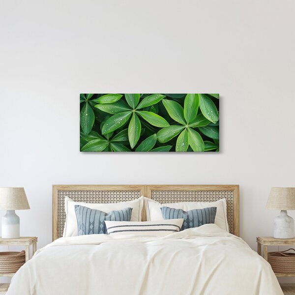 Obraz - Listy s kvapkami rosy (120x50 cm)