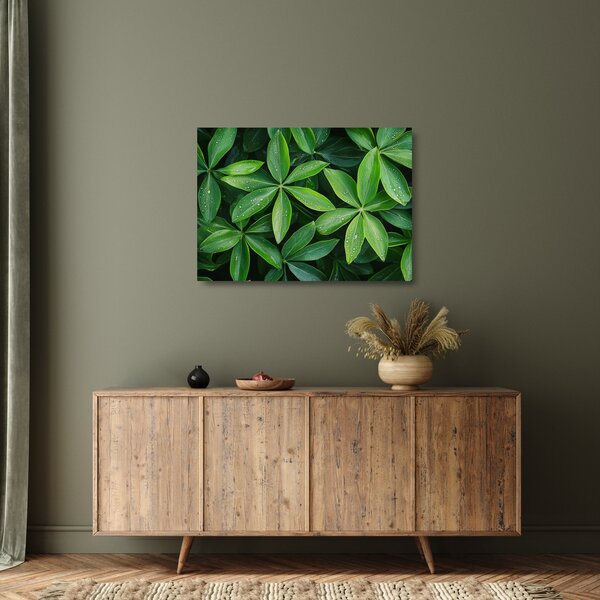 Sklenený obraz - Listy s kvapkami rosy (70x50 cm)
