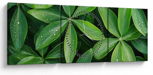 Obraz - Listy s kvapkami rosy (s hodinami) (90x30 cm)