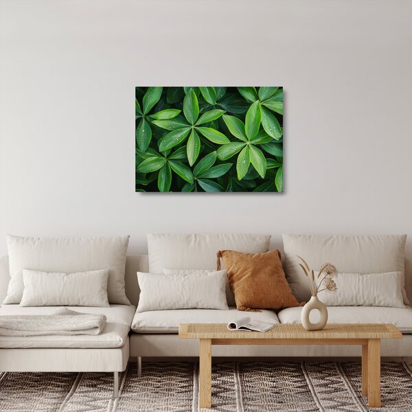 Sklenený obraz - Listy s kvapkami rosy (70x50 cm)