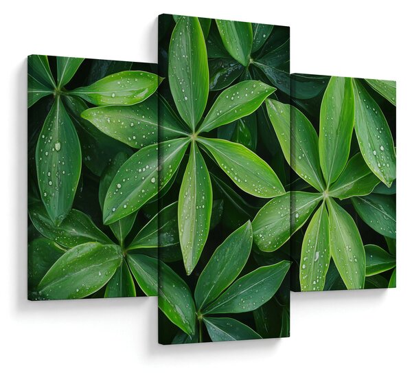 Obraz - Listy s kvapkami rosy (90x60 cm)