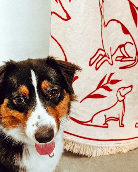 MUZZA Deka pawfect 200 x 150 cm červená