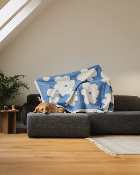 MUZZA Deka flo 200 x 150 cm modrá