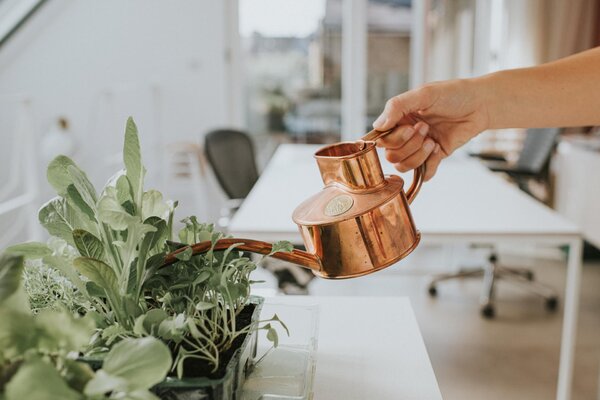 Krhlička na polievanie Fazeley Flow Copper – 600 ml