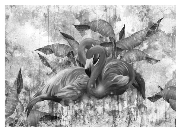 Sklenený obraz - Plameniaky graffiti (70x50 cm)