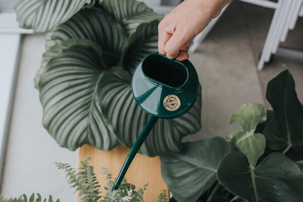 Krhlička na polievanie Fazeley Flow Green – 600 ml