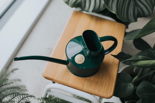 Krhlička na polievanie Fazeley Flow Green – 600 ml