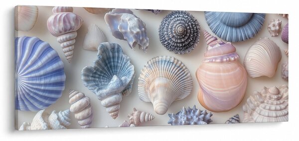 Obraz - Zbierka mušlí (120x50 cm)