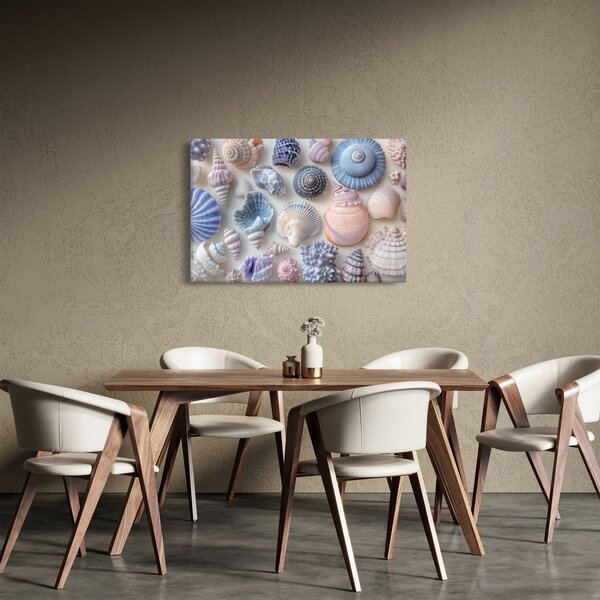 Obraz - Zbierka mušlí (90x60 cm)
