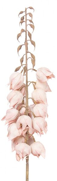 Dekorácia umelá kvetina Yucca s ružovými kvetmi - 12*12*100 cm - Clayre & Eef