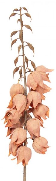 Dekorácia umelá kvetina Yucca s oranžovými kvetmi - 12*12*100 cm - Clayre & Eef