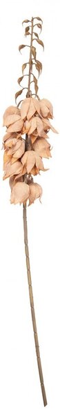 Dekorácia umelá kvetina Yucca s lososovými kvetmi - 12*12*100 cm - Clayre & Eef