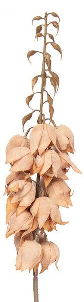 Dekorácia umelá kvetina Yucca s lososovými kvetmi - 12*12*100 cm - Clayre & Eef
