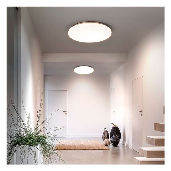 LED stropné svetlo Plain nastaviteľné - priemer 38 cm, biela