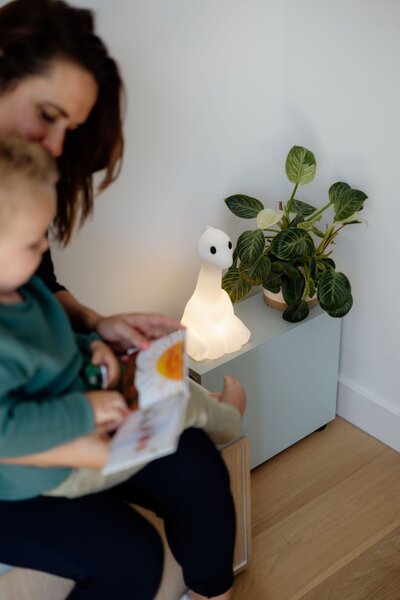 Stmievateľná LED lampa Nova First Light