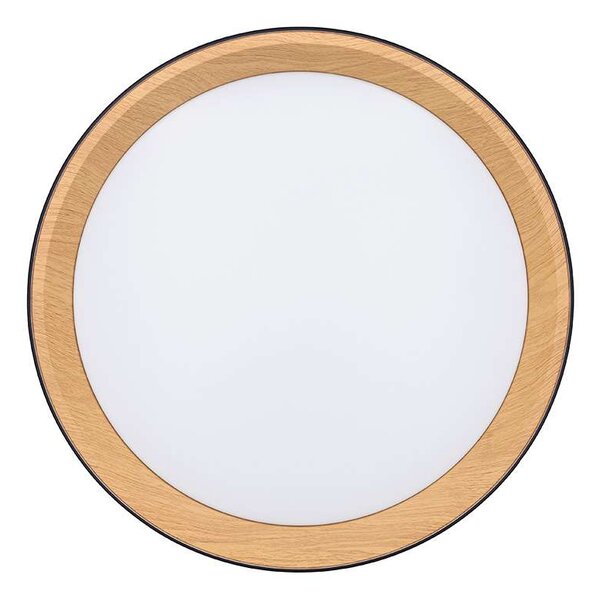 LED stropné svetlo s diaľkovým ovládaním Larios nastaviteľné - priemer 39 cm, čierna