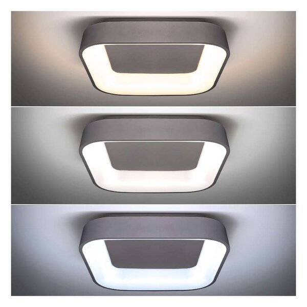 LED stropné svetlo s diaľkovým ovládaním Treviso - 45 x 45 cm, sivá