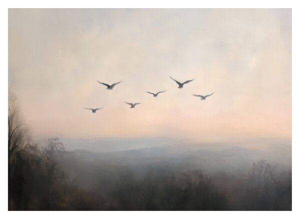 Obraz - Hejno vtákov (70x50 cm)