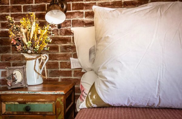 Vankúš Rundum Daunen – CHRBÁT, Deluxe z kačacieho peria 50x70 cm