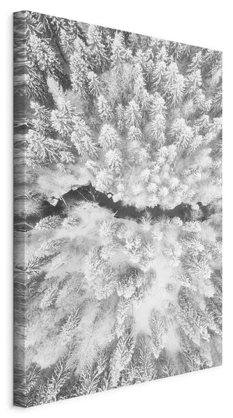 OBRAZ NA PLÁTNE, krajina a príroda, stromy, 40/60/1,2 cm artgeist - Online Only bytové doplnky, Online Only