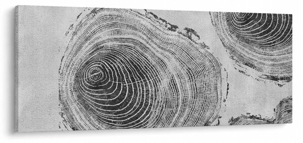 Obraz - Motív stromu (120x50 cm)