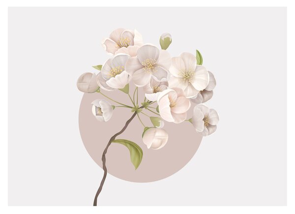 Sklenený obraz - Bloom with grace N⁰2 (70x50 cm)