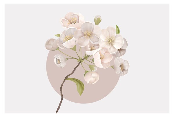 Obraz - Bloom with grace N⁰2 (90x60 cm)