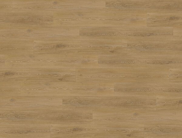 FLOOR FOREVER XL click rigid Dub medový 9947 - 2.78 m2