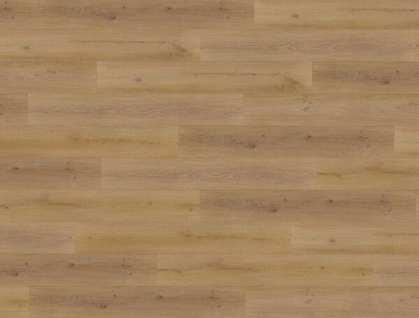 FLOOR FOREVER XL click rigid Dub hnedý 9948 - 2.78 m2
