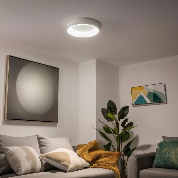 Brilagi - LED stmievateľné stropné svietidlo FALCON LED/40W/230V 3000-6500K + DO
