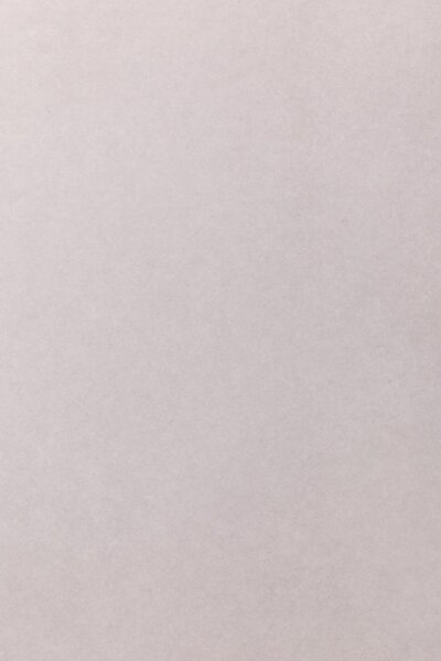 PVC podlaha Tarkett Iconik 260T 240007004 Fibra 4-Mist