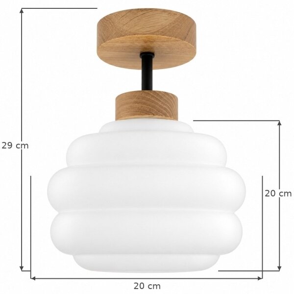 BRILAGI - LED Prisadený luster RETRO GLASS 1xE27/60W/230V pr. 20 cm dub/biela