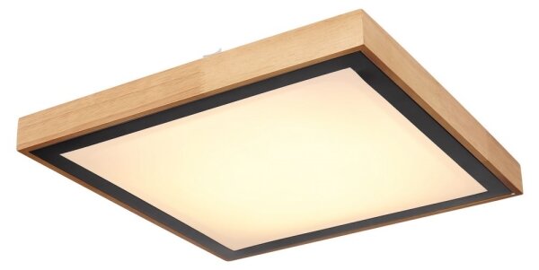 Globo 41764-24Q - LED Stropné svietidlo BRUNO LED/24W/230V 3000/4500/6000K