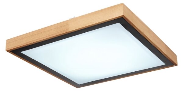 Globo 41764-24Q - LED Stropné svietidlo BRUNO LED/24W/230V 3000/4500/6000K