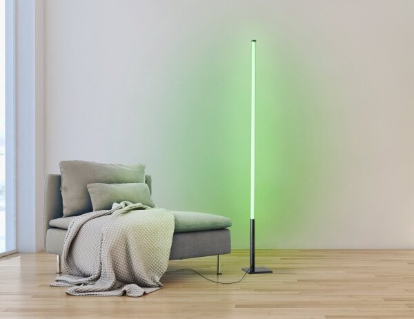 Eglo 75654 - LED RGB Stmievateľná stojacia lampa LED/13,5W/230V 2700-6500K + DO