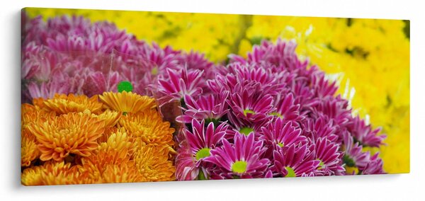 Obraz ružového kvetu (120x50 cm)