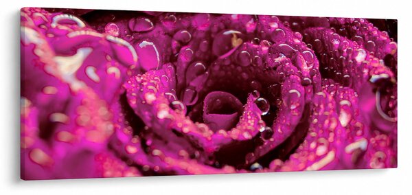 Obraz ružového kvetu ruže (120x50 cm)