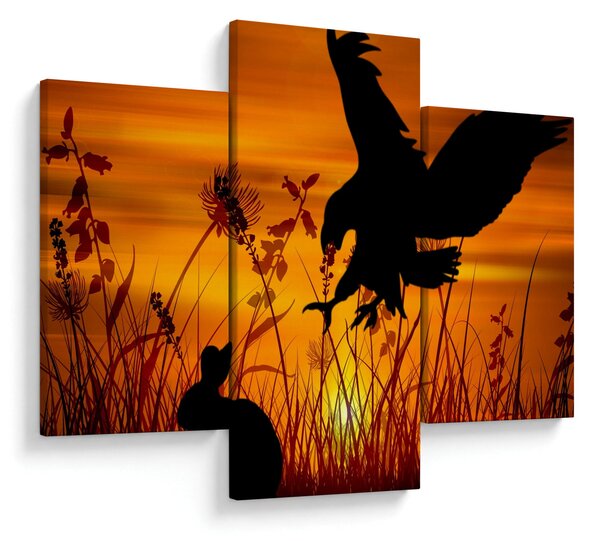 Obraz siluety dravca (90x60 cm)