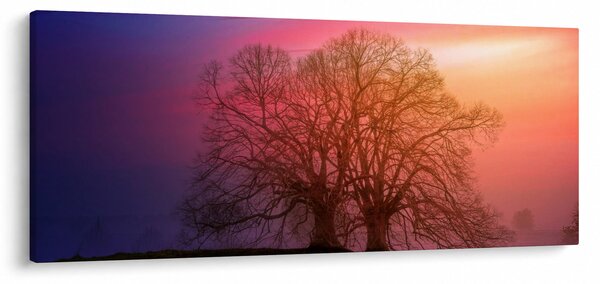 Obraz stromov v hmle (120x50 cm)