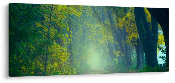 Obraz cesty lemovanej stromami (120x50 cm)
