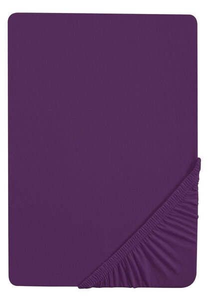 Biberna Napínacia džersejová plachta (180 – 200 x 200 cm, fialová) (100227068)